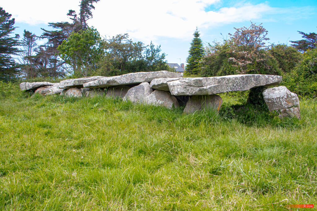 Allée couverte et menhir de Prajou-Menhir - Bretagne (région administrative) - Brittany (administrative region) - Country - Côte de granit rose - Côtes-d'Armor - English Channel - France - Geography - Géographie - Manche (mer) - Mer - Océan Atlantique - Pays - Rannvro Breizh - Trébeurden - Étendue d'eau - Allée couverte et menhir de Prajou-Menhir Trébeurden Bretagne (région administrative) France