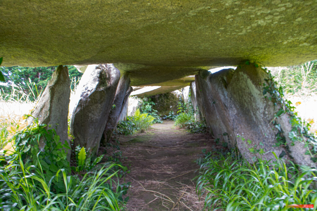 Allée couverte et menhir de Prajou-Menhir - Bretagne (région administrative) - Brittany (administrative region) - Country - Côte de granit rose - Côtes-d'Armor - English Channel - France - Geography - Géographie - Manche (mer) - Mer - Océan Atlantique - Pays - Rannvro Breizh - Trébeurden - Étendue d'eau - Allée couverte et menhir de Prajou-Menhir Trébeurden Bretagne (région administrative) France